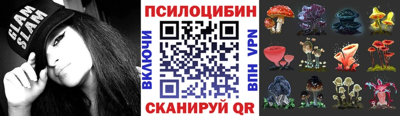 Купить  Ухта  Галлюциногенные грибы GOLDEN TEACHER 